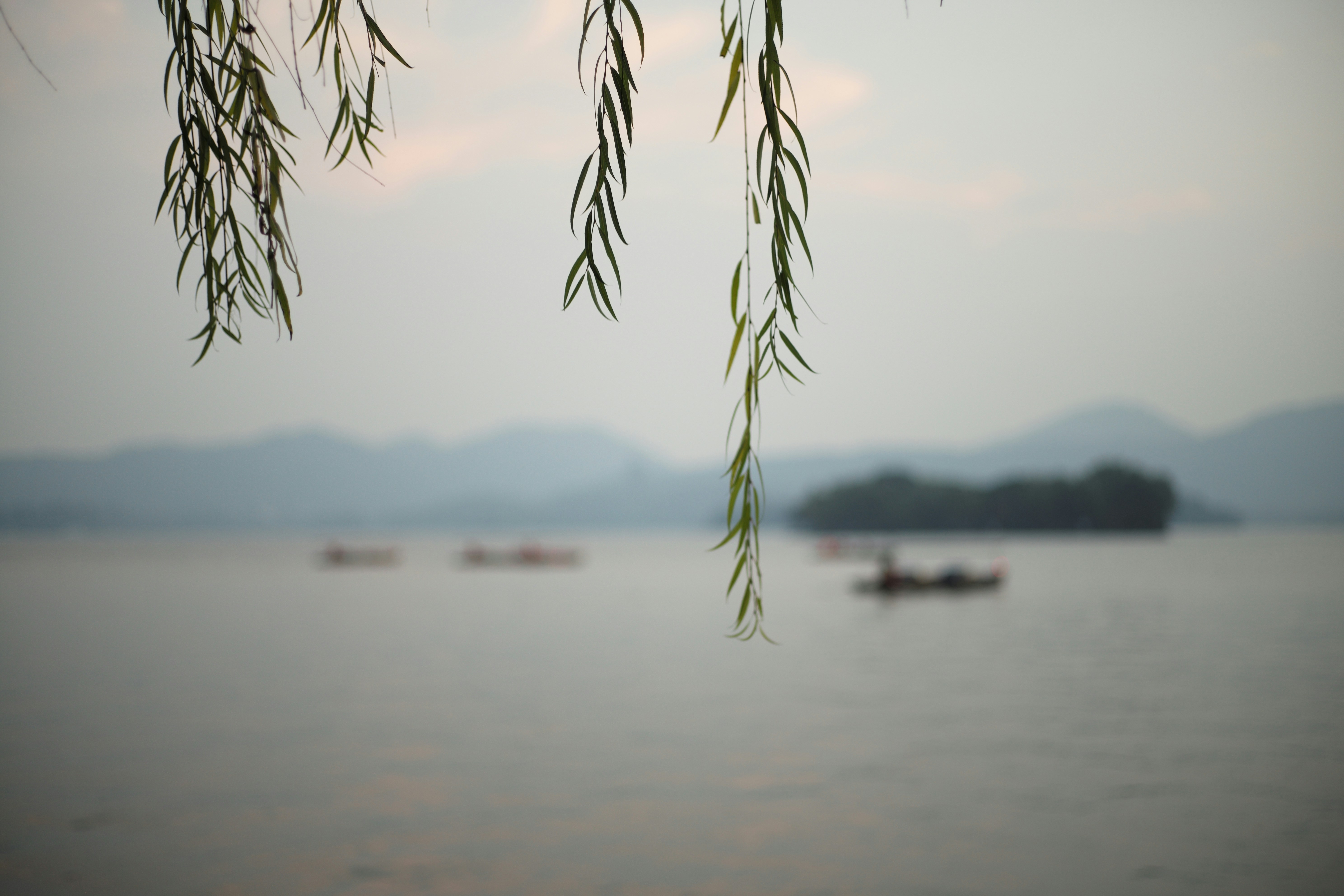 Photo by fanfan80532