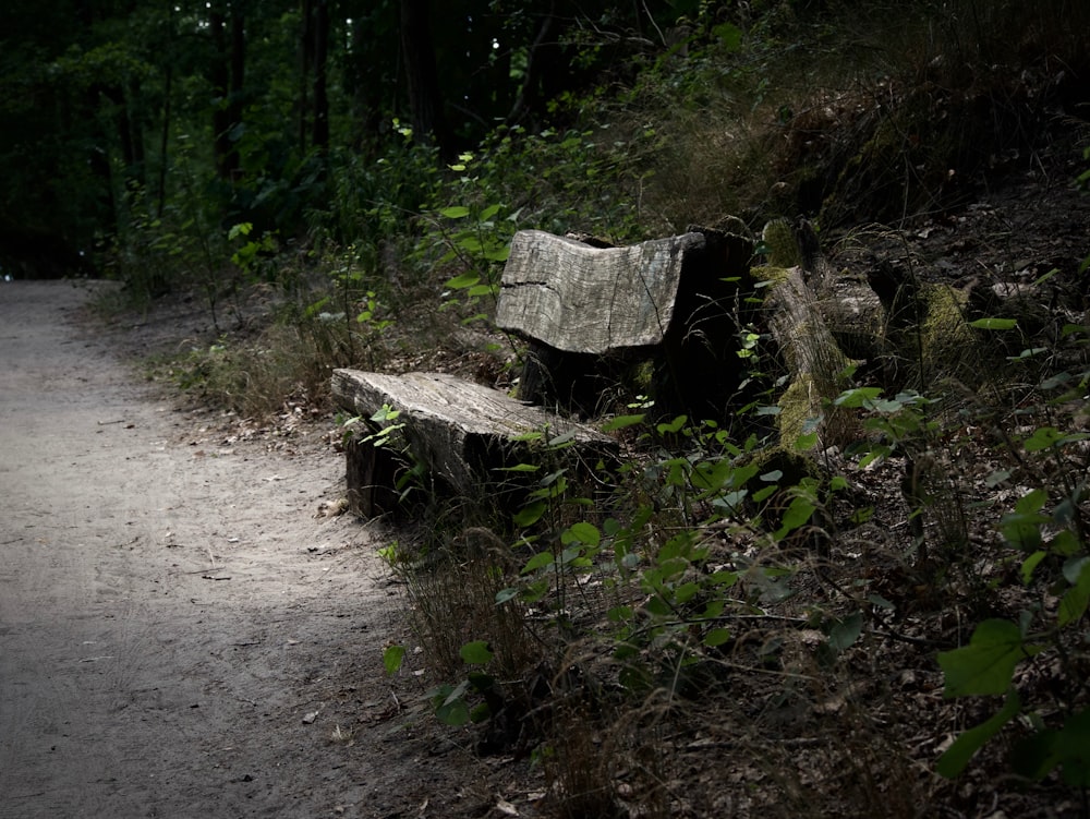 gray wooden bench beside road
