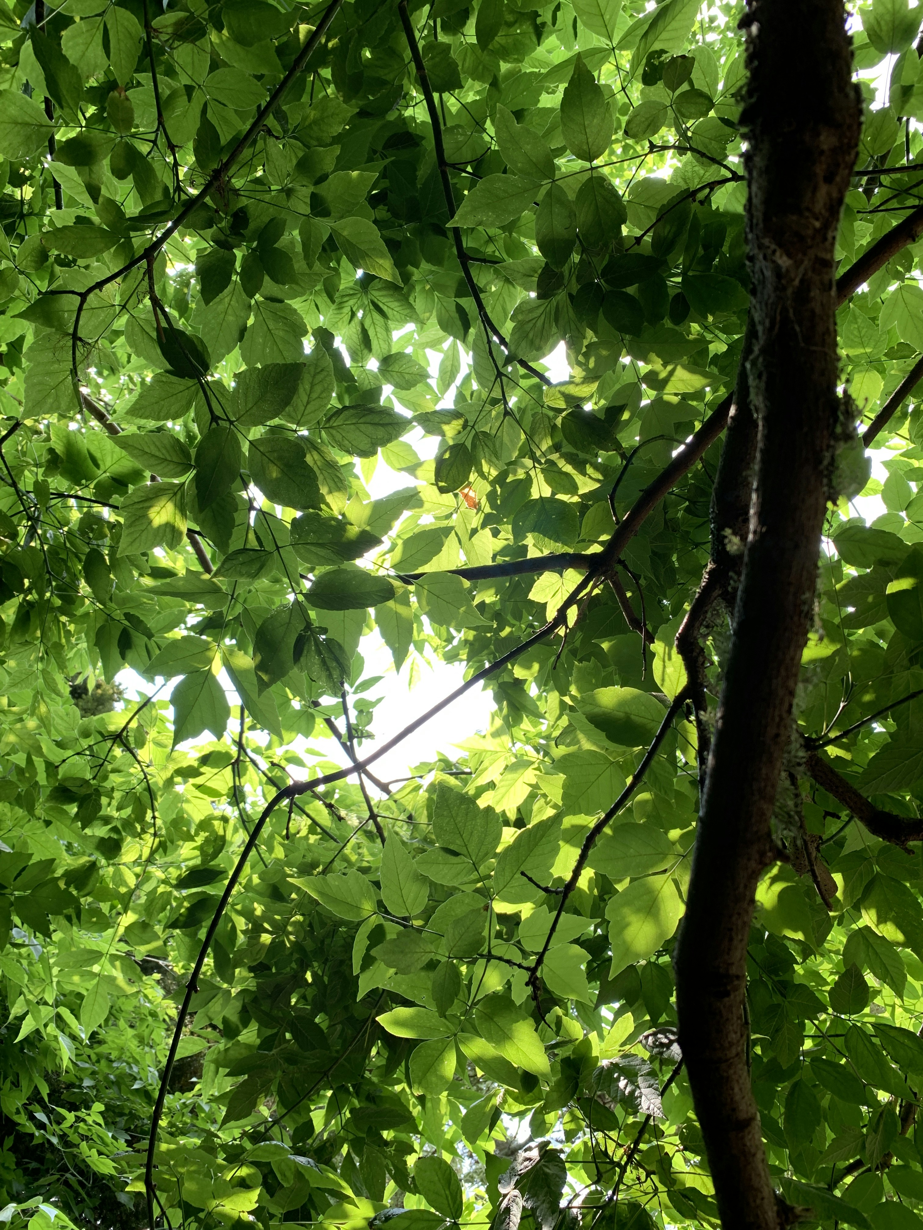 Photo by sammienguyen