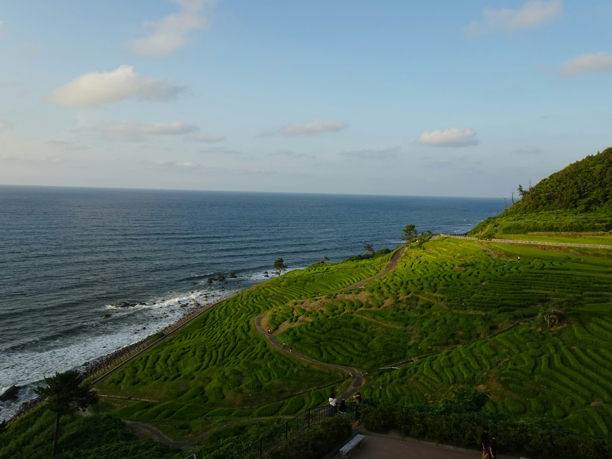 Wajima Local Cuisine: Dishes, Restaurants, and Recipes