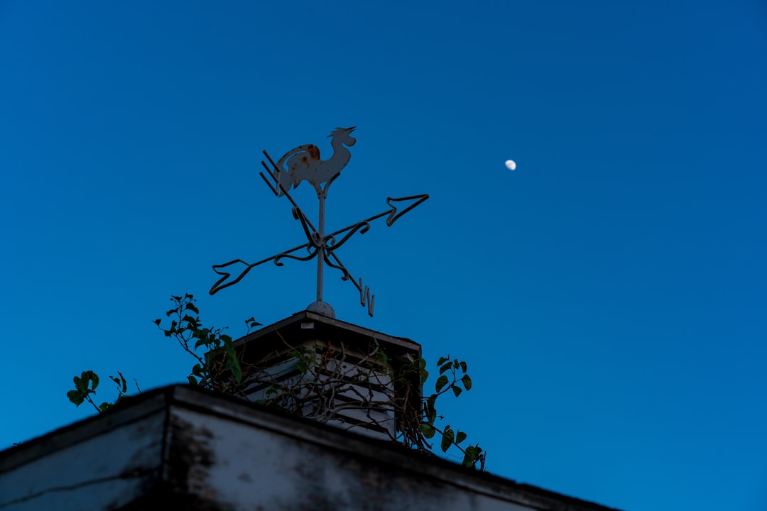 weather vane on building's roof