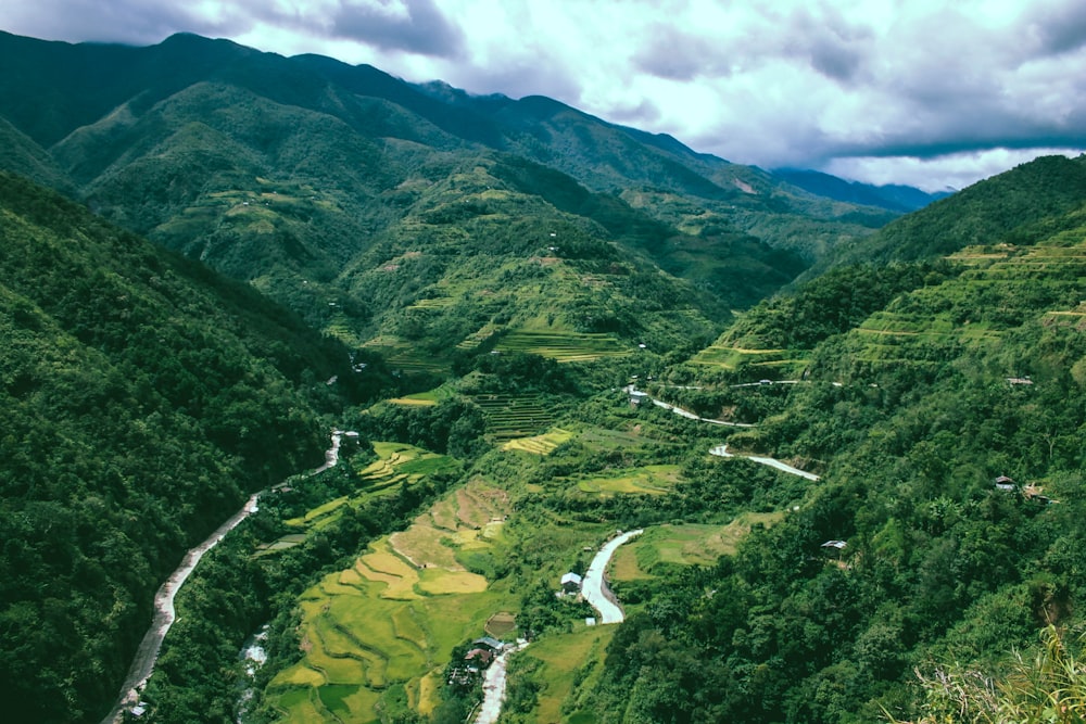 aerial photography of forest mountain during daytime