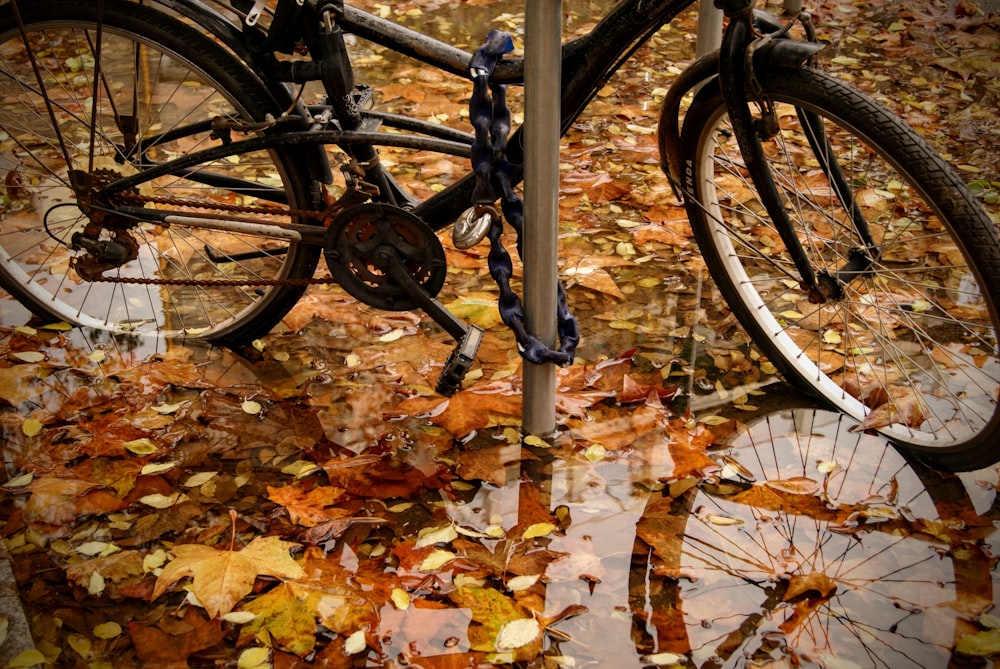 white rigid bike parked on withered leaves