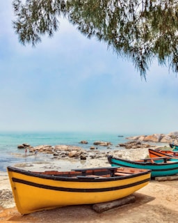 yellow and green boats