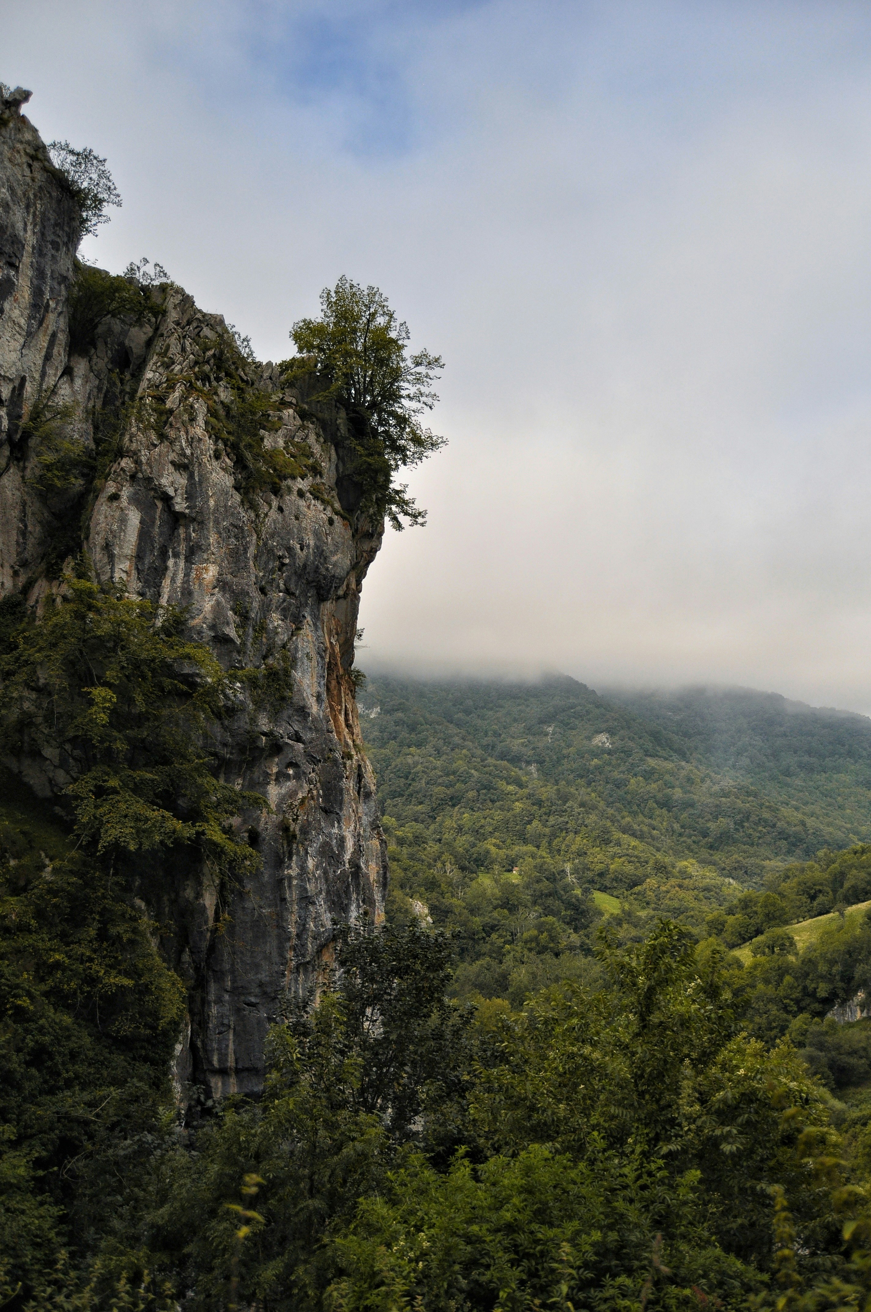 Photo by isimartinez