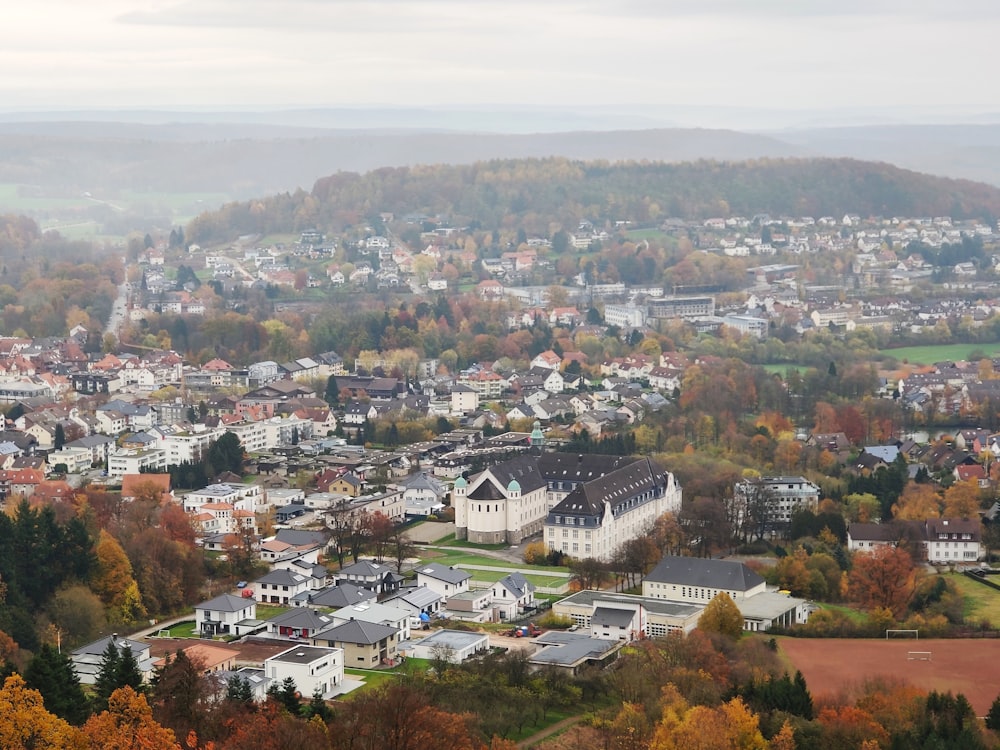 white-and-gray houses