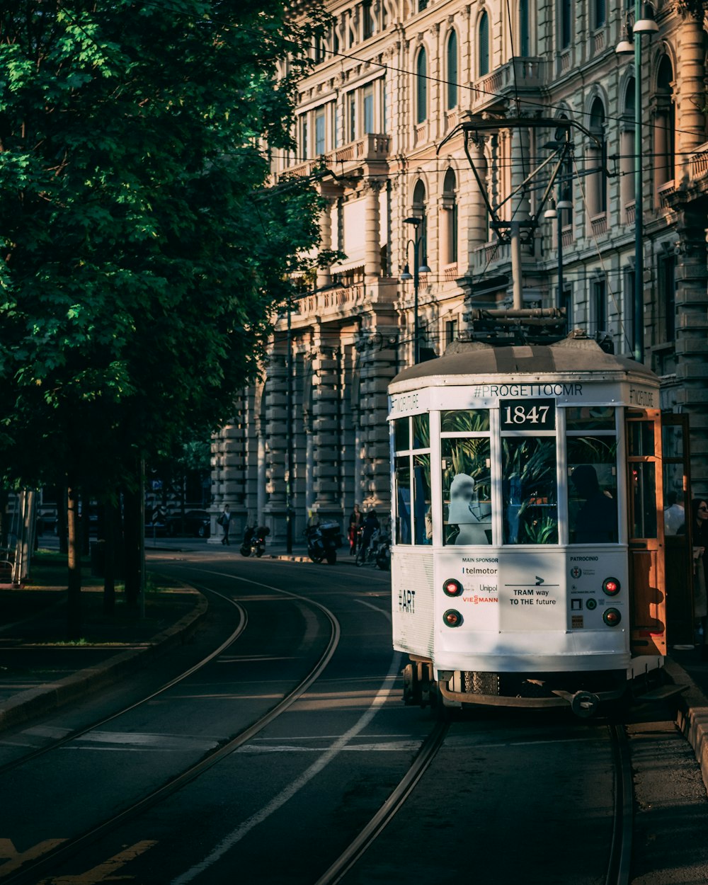 Scarpa da ginnastica da città bianca e nera