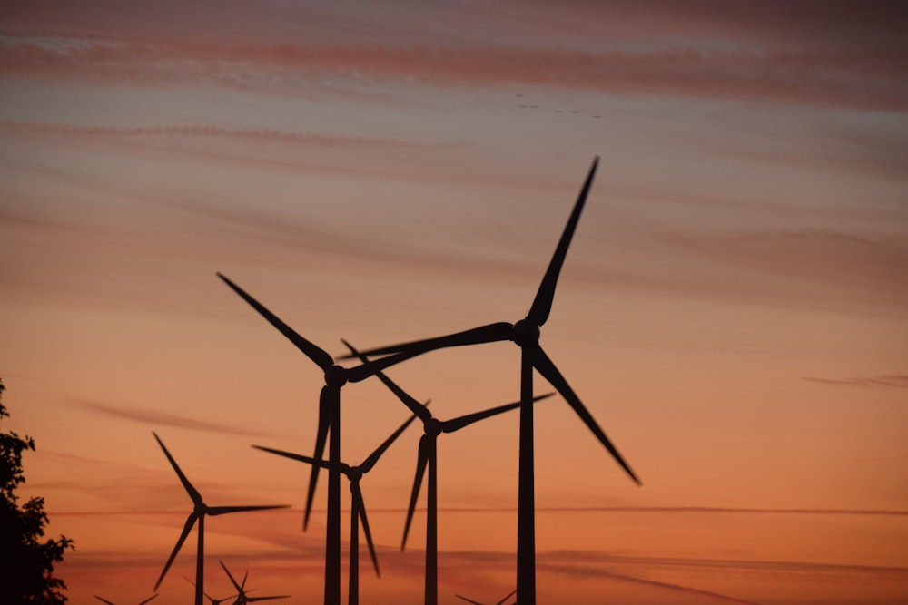 windmills during golden hour