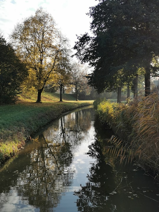 river surrounded by trees in Ridderkerk Netherlands