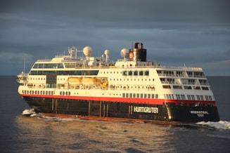 white and black cruise ship on sea