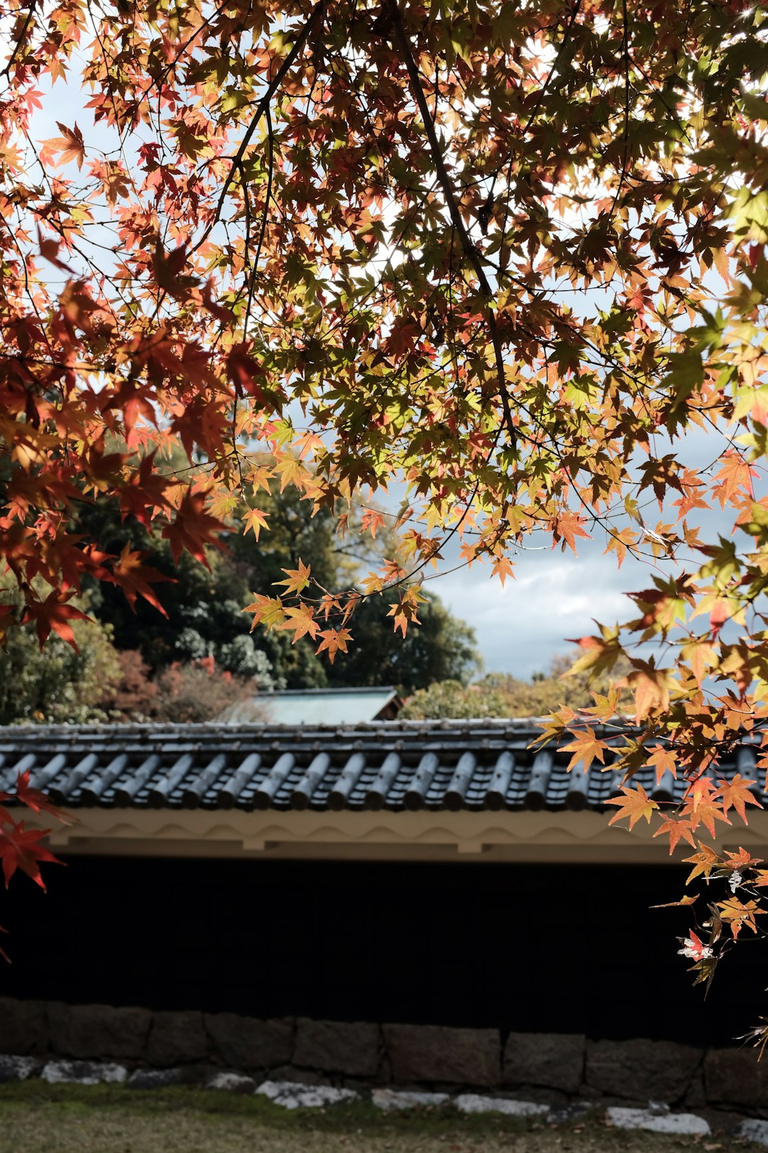 building near trees during day