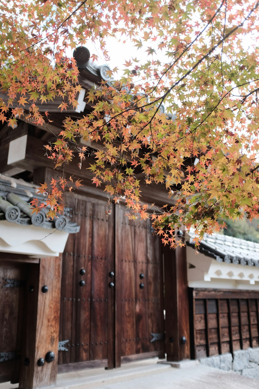 closed brown wooden gates during daytime