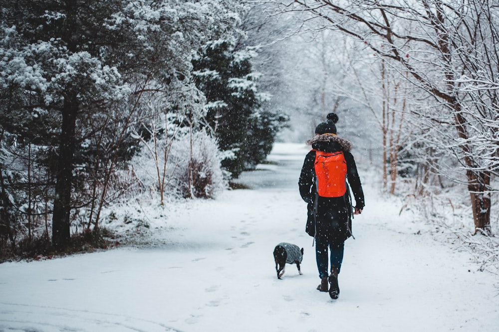 person walking with dog in the middle of snowy forest