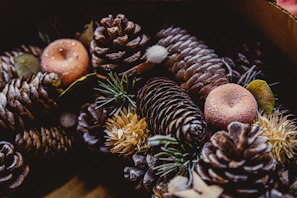 A vibrant display of family and lover gift collections with natural elements like pine cones and dried leaves
