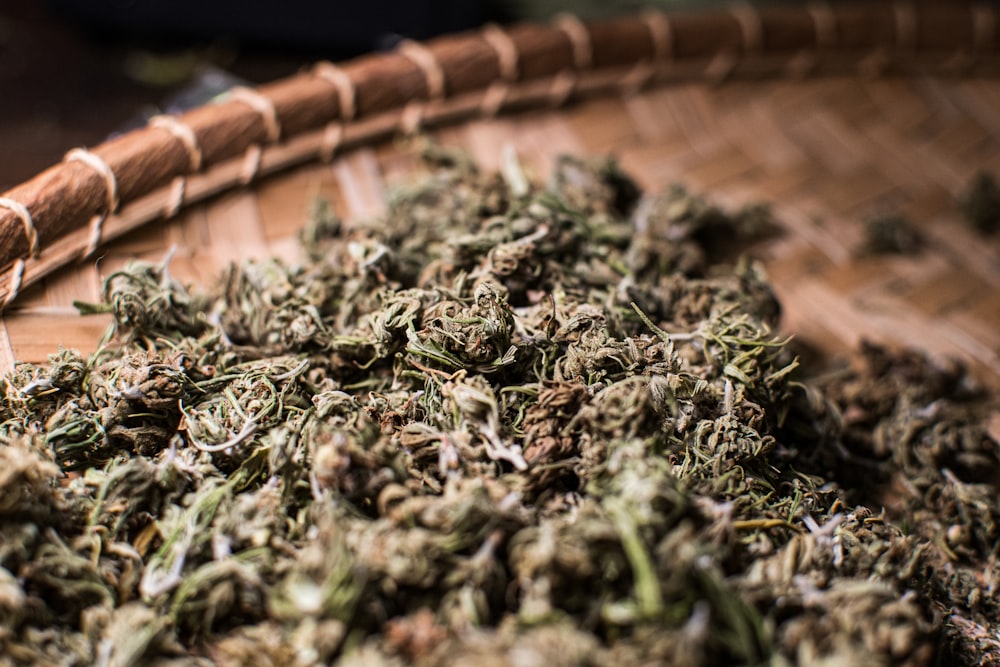 green herb on brown wicker tray