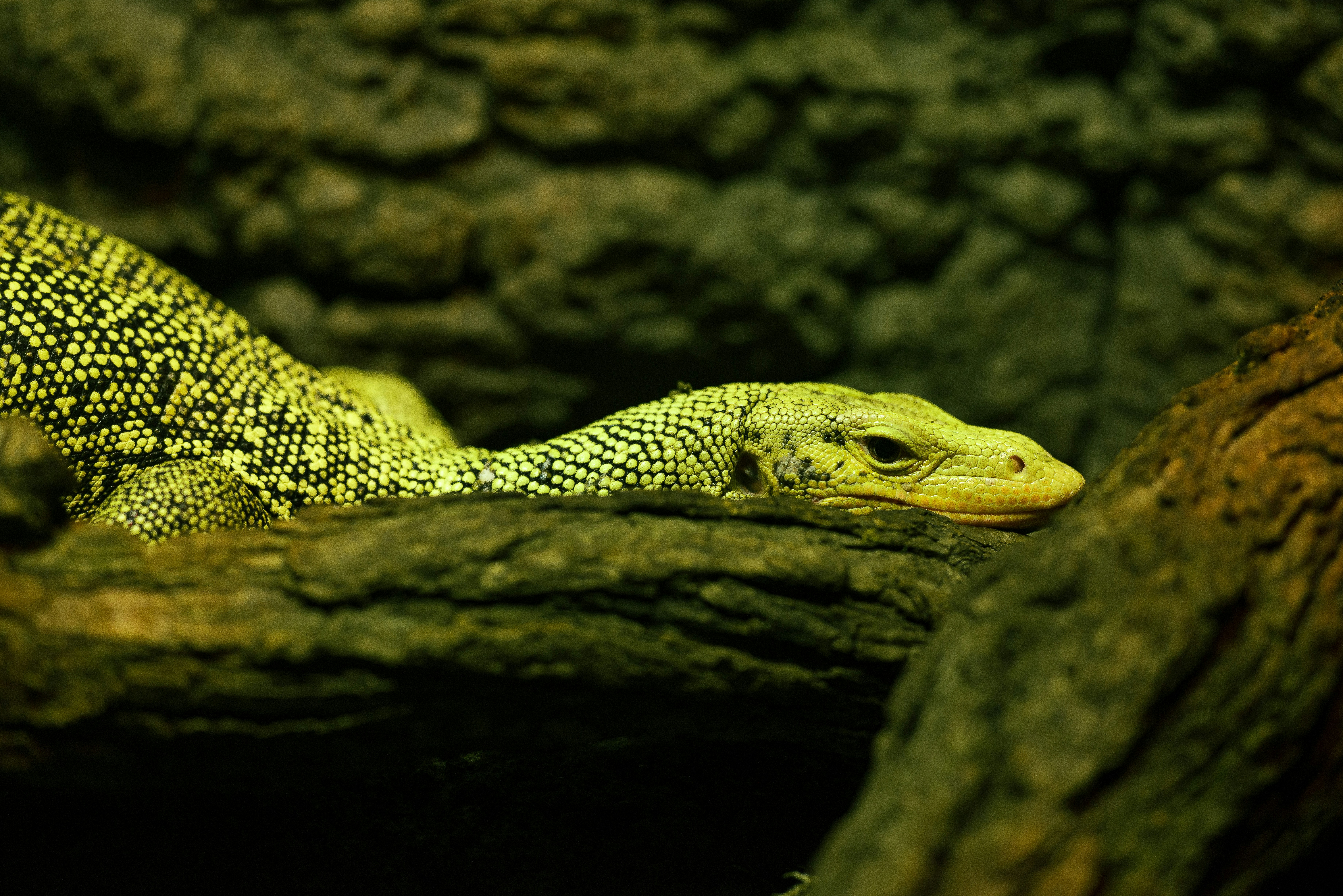 Photo by brianstalter