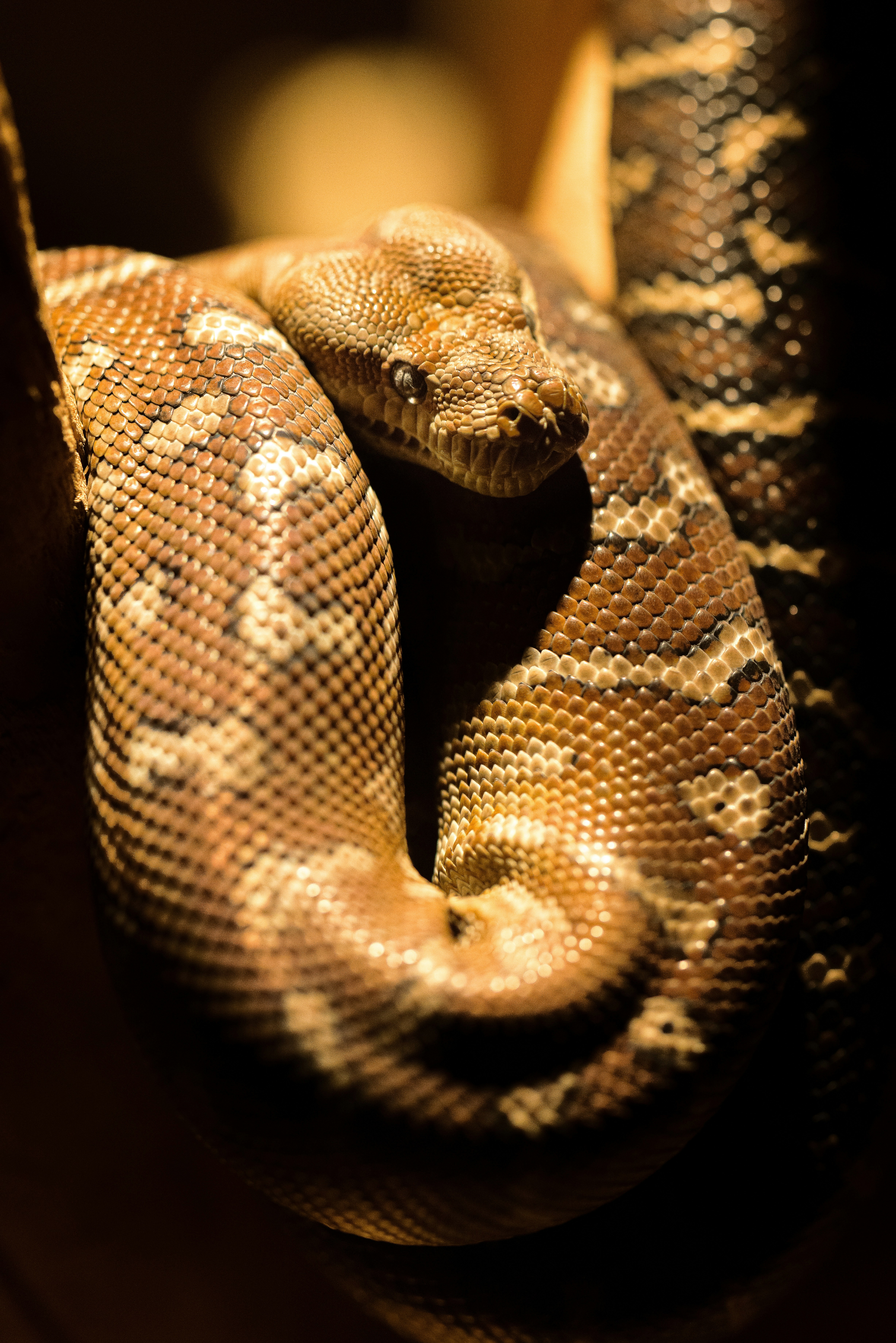 Photo by brianstalter