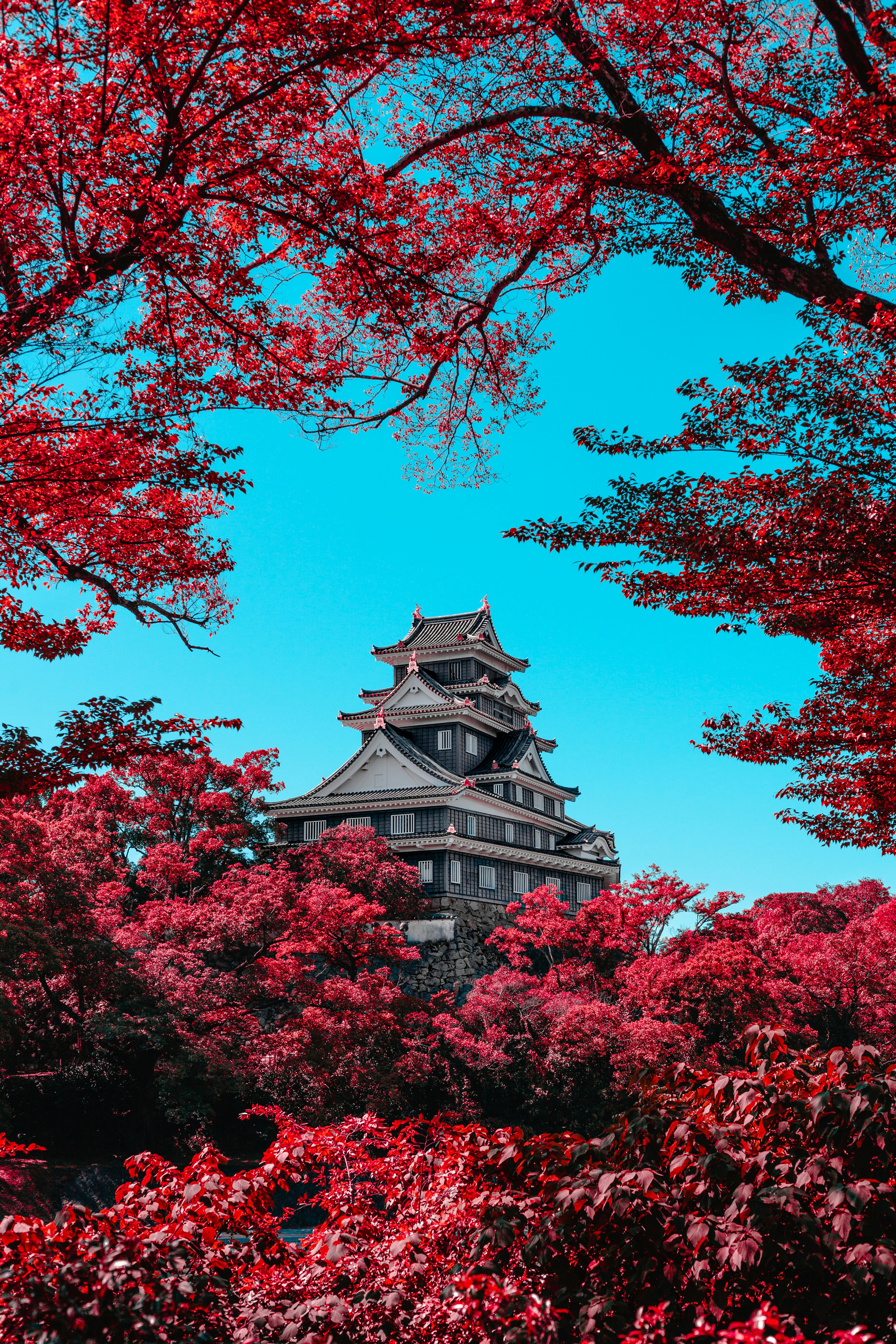 trees near grey temple