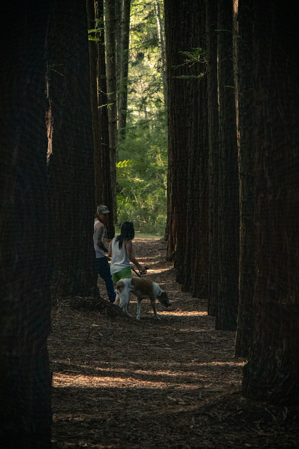 man and woman with dog on woods