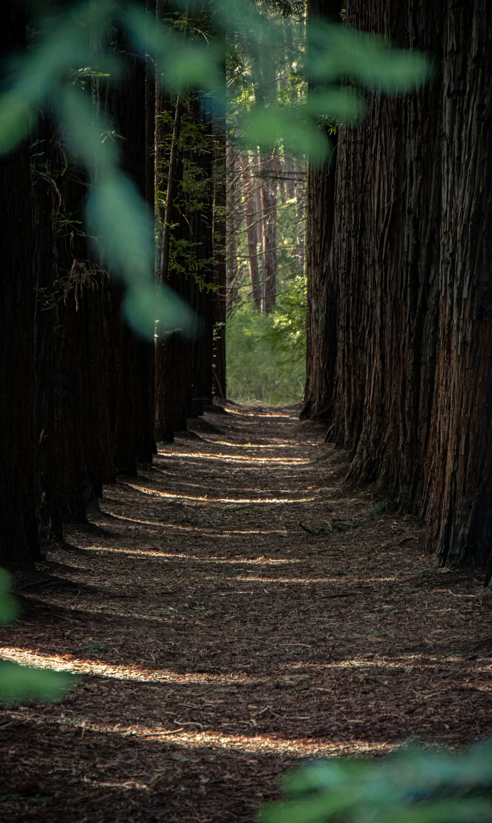 empty pathway