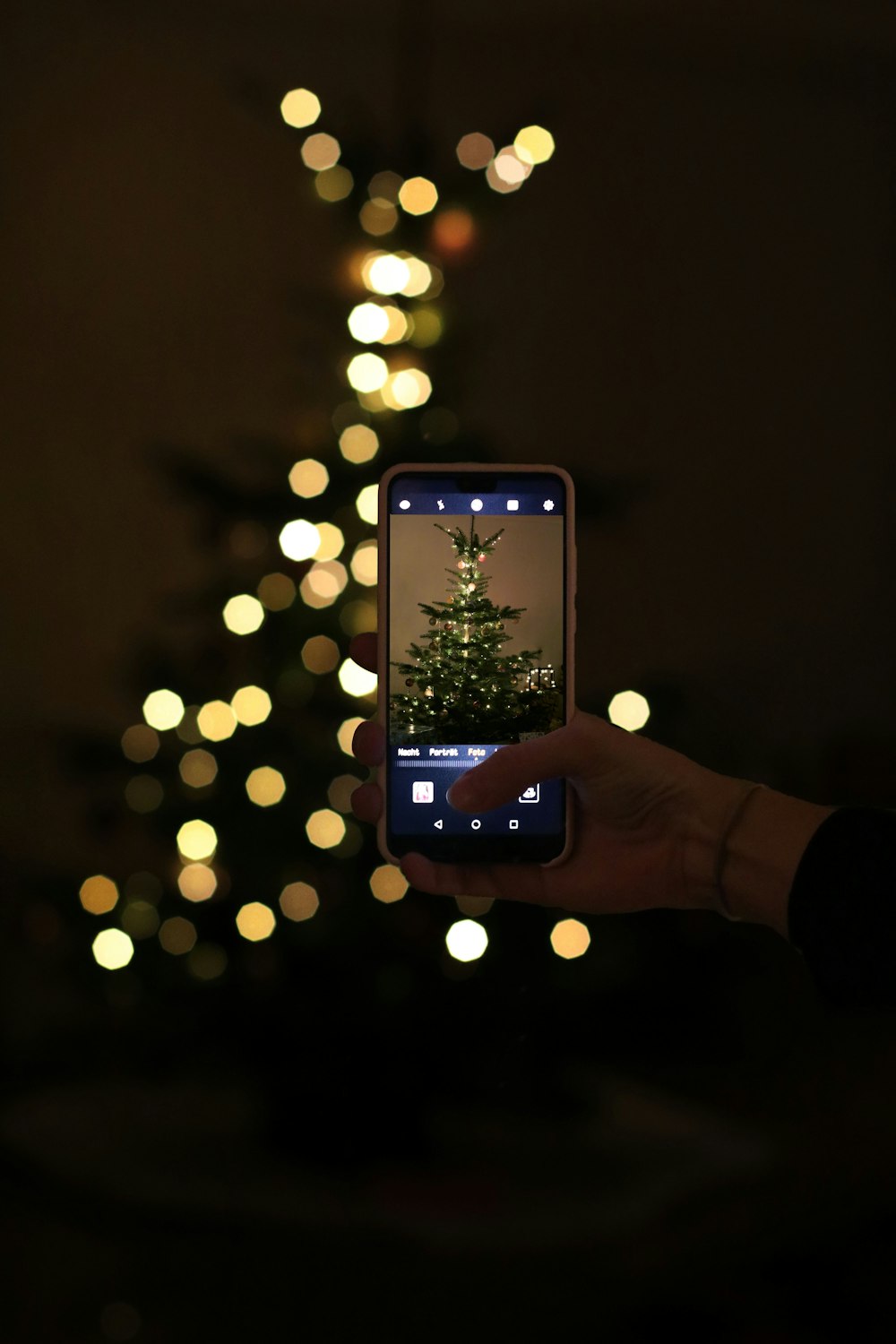 person taking photo green Christmas tree