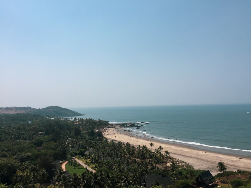 seashore and mountain scenery