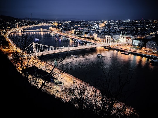 aerial photography of lighted bridge at night in Citadella Hungary
