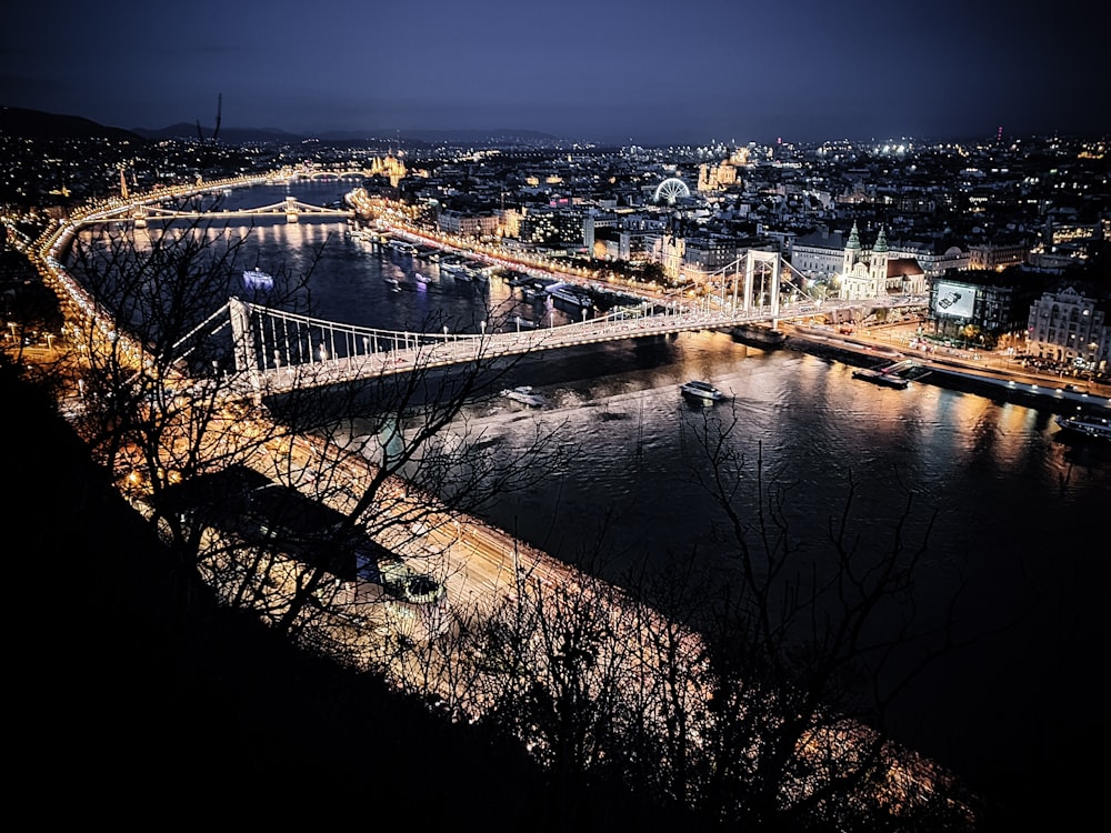 aerial photography of lighted bridge at night