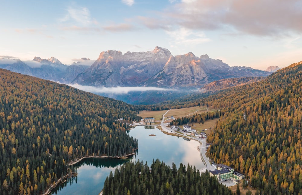 Photo aérienne de pins sur une montagne près de la rivière