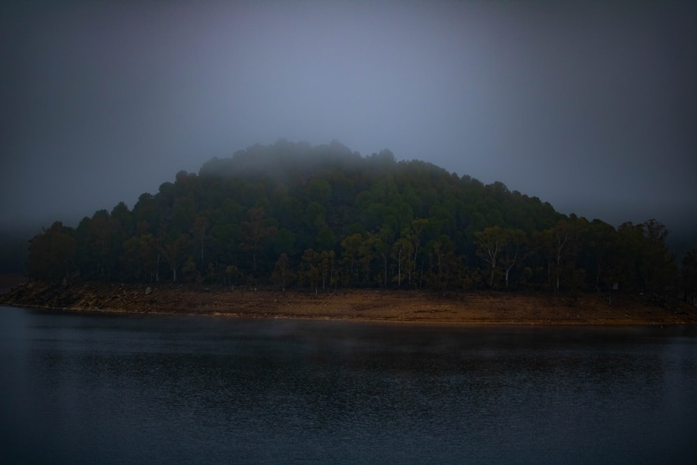 a large body of water surrounded by trees