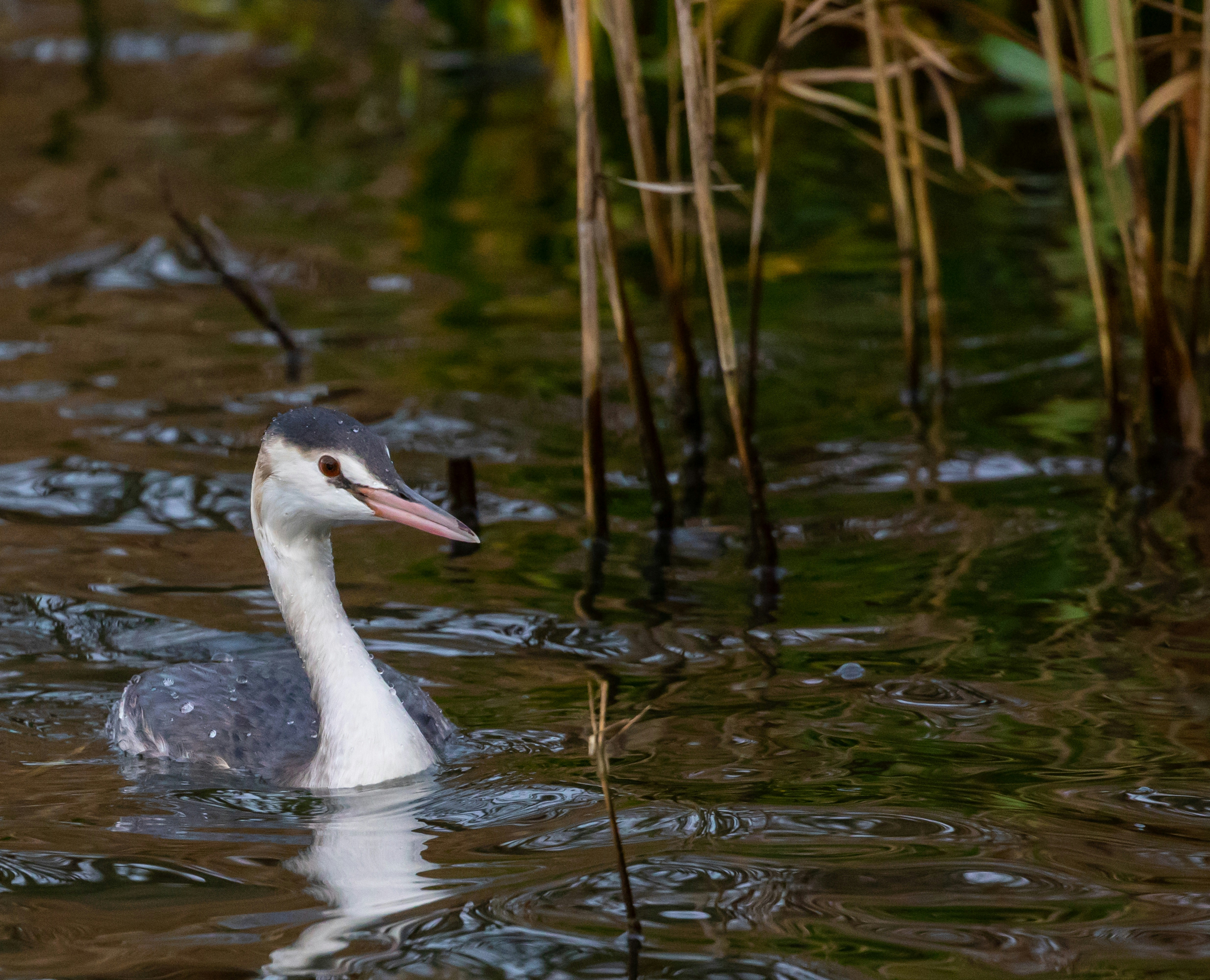 Photo by theotherkev