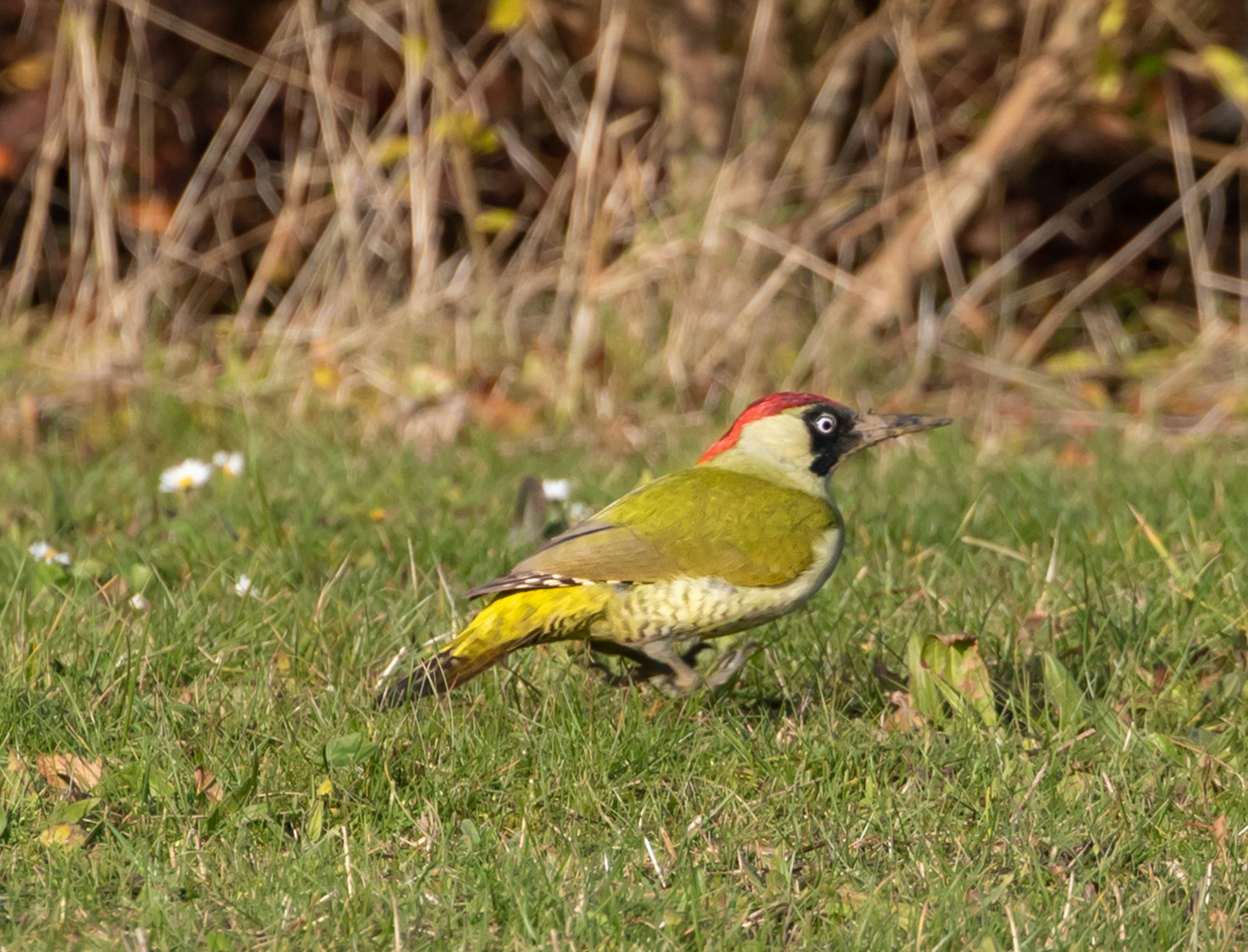 Photo by theotherkev