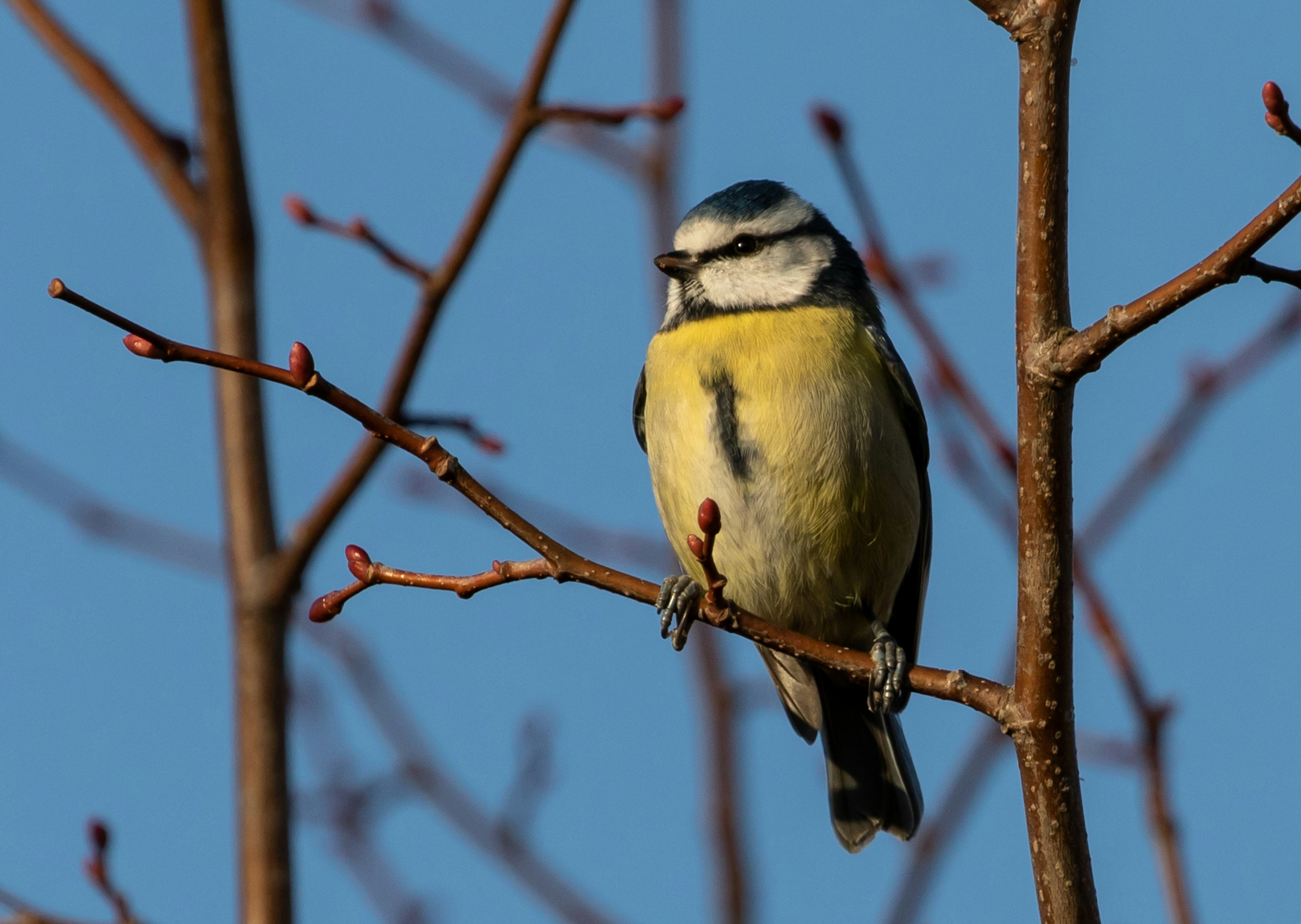 Photo by theotherkev