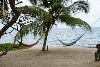 Relaxed travelers lounging in hammocks on a quiet beach in Bali, with gentle waves in the background.