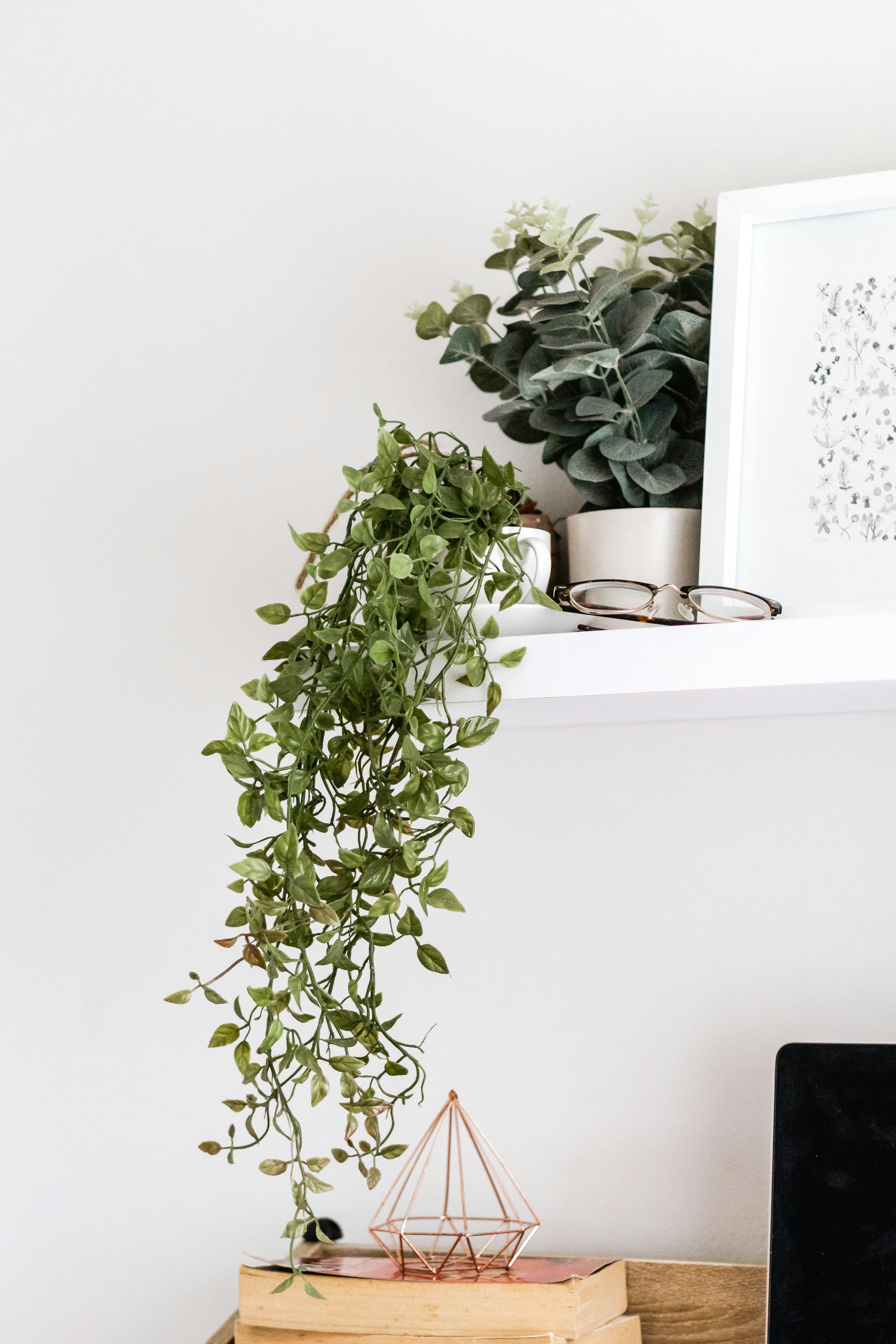 Photo by sincerelymedia