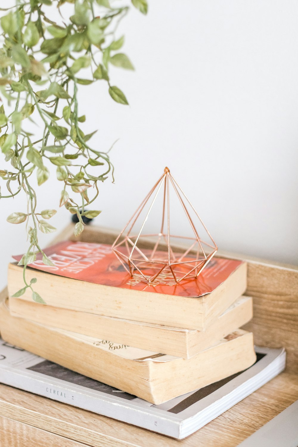 two books beside plant