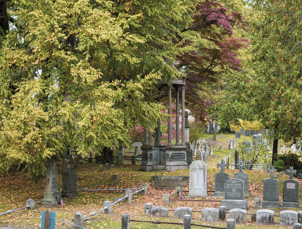 trees beside graveyard during daytime