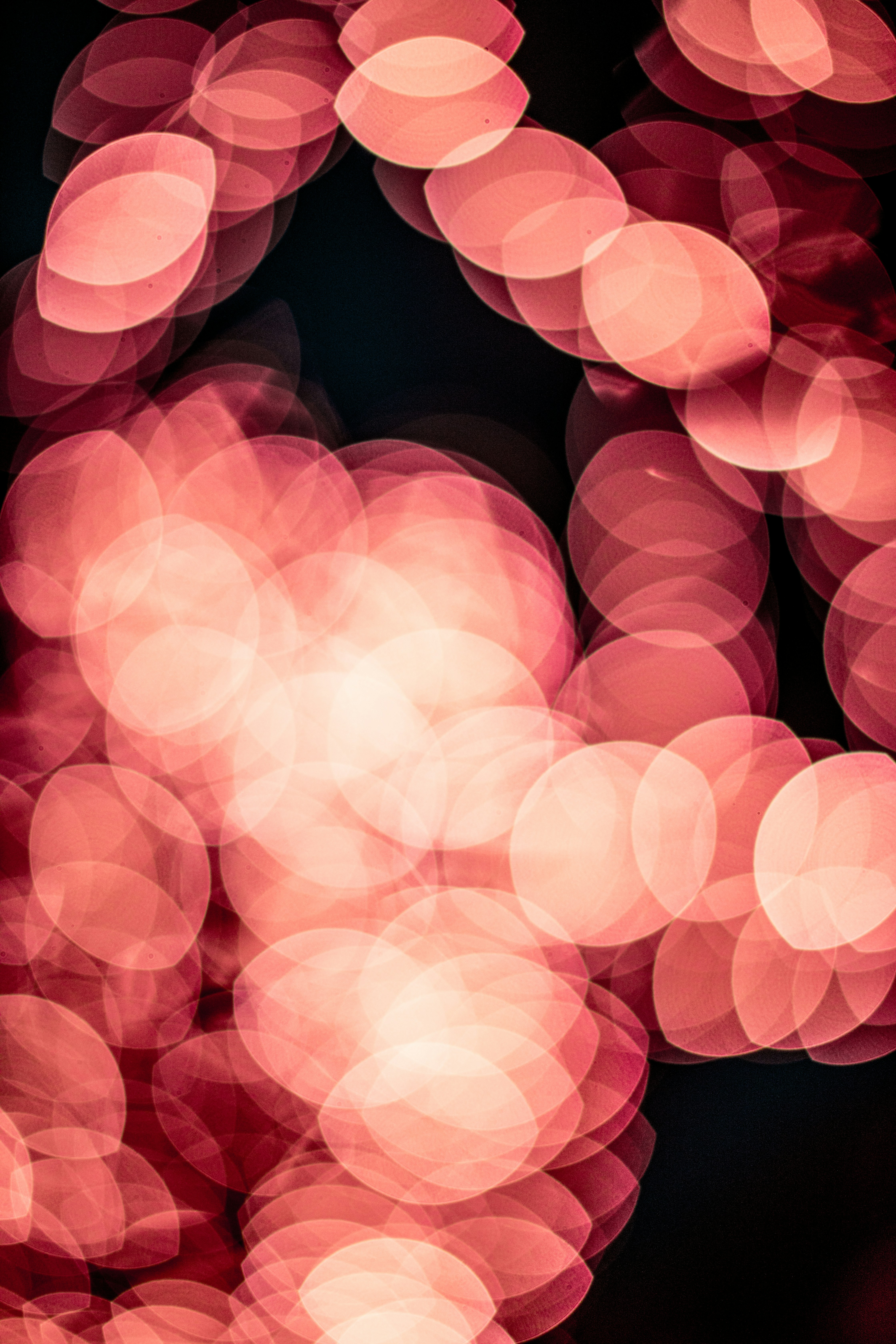 Photo by lorenzohamers