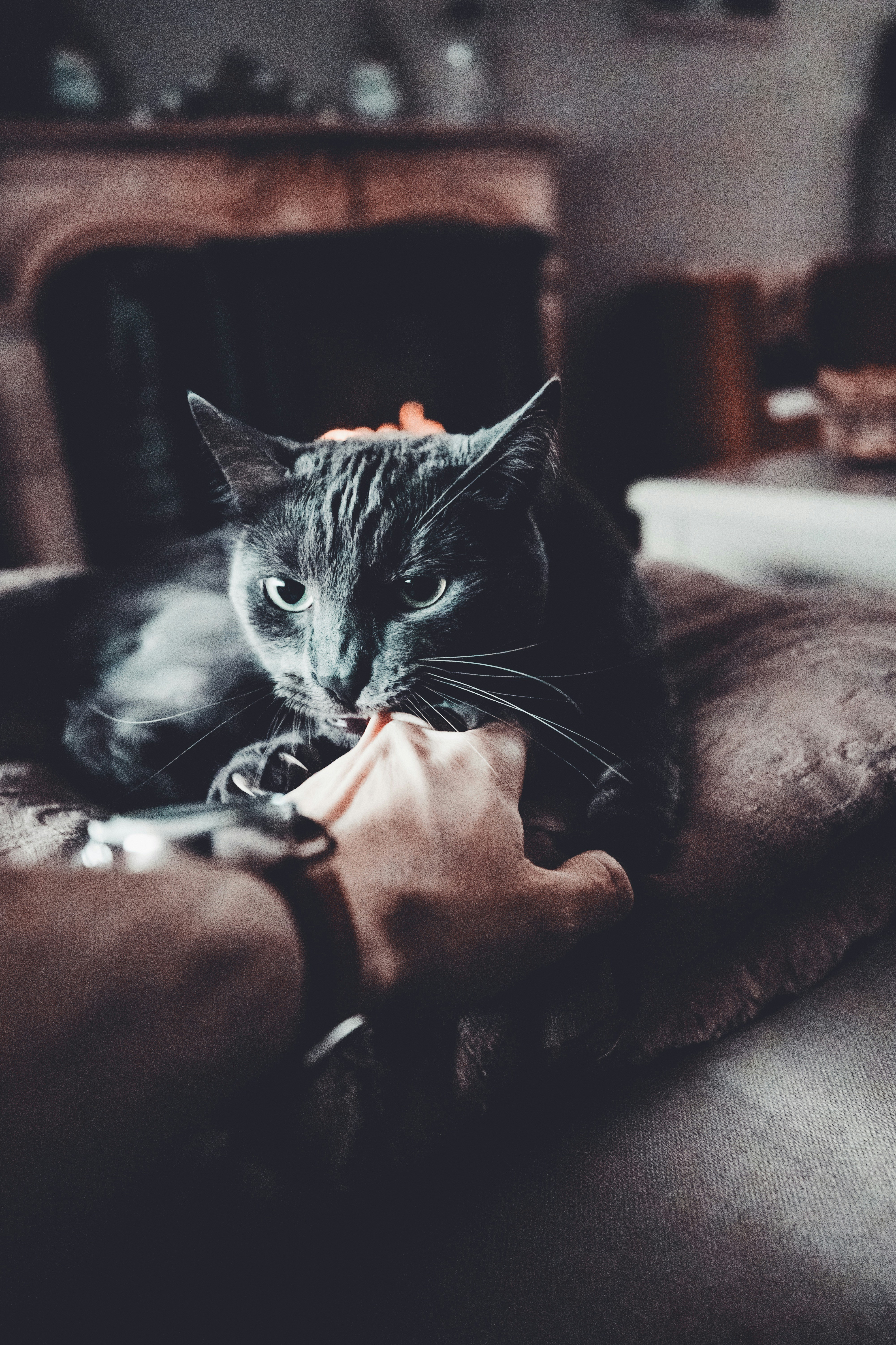 Photo by lorenzohamers