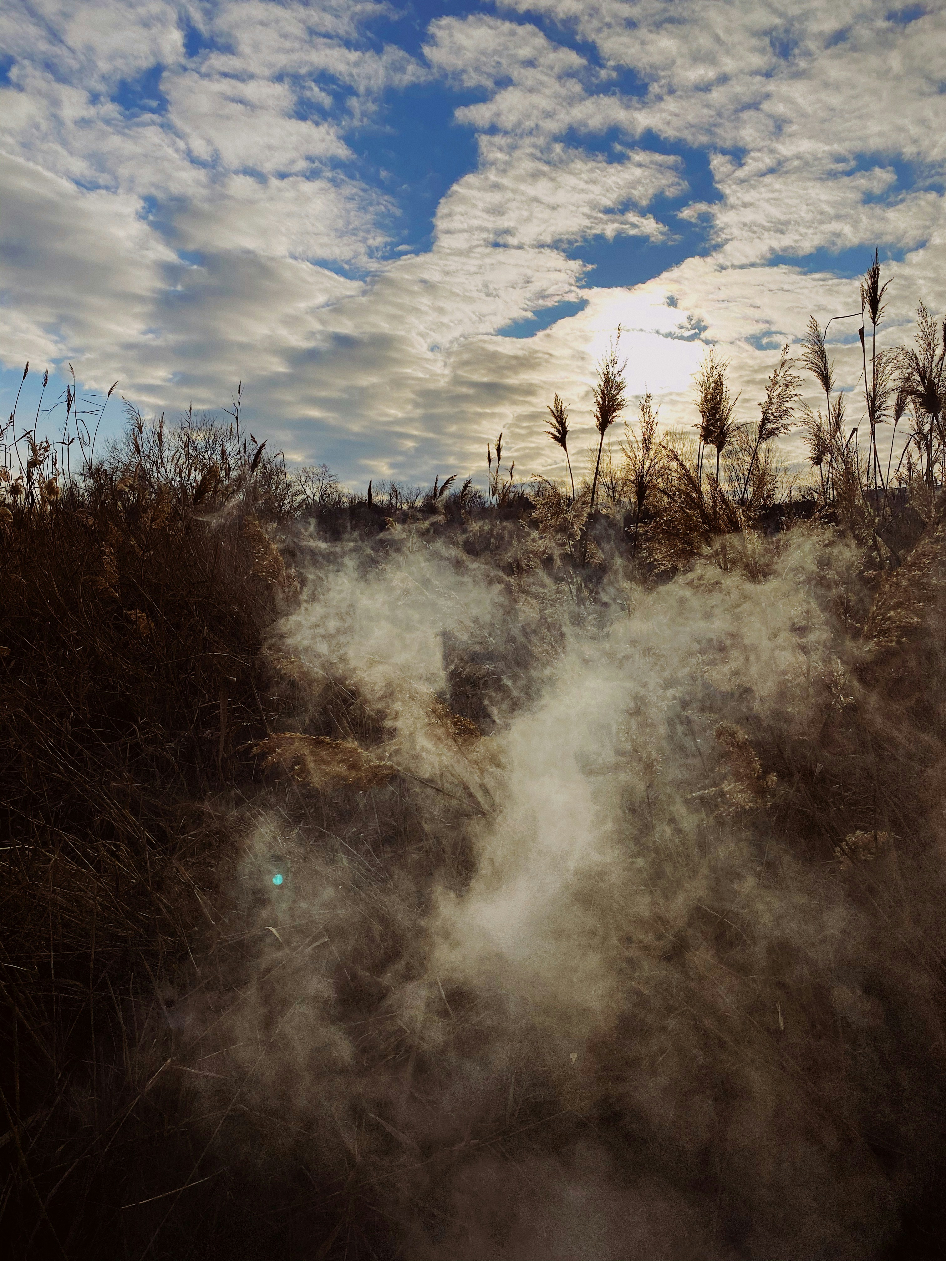 Photo by vladimirkolos