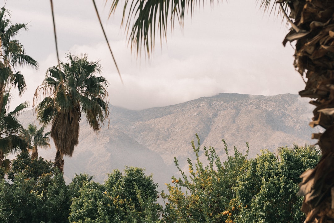 mountains near trees under cloudy sky