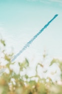 A clear view of a calm swimming pool, focusing on one of the swim lanes. The pool water is light blue and appears very clean. There is a blurred green foliage in the foreground, adding a natural touch to the scene.