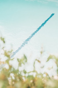 A clear view of a calm swimming pool, focusing on one of the swim lanes. The pool water is light blue and appears very clean. There is a blurred green foliage in the foreground, adding a natural touch to the scene.