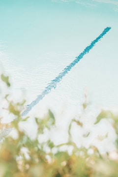 A clear view of a calm swimming pool, focusing on one of the swim lanes. The pool water is light blue and appears very clean. There is a blurred green foliage in the foreground, adding a natural touch to the scene.
