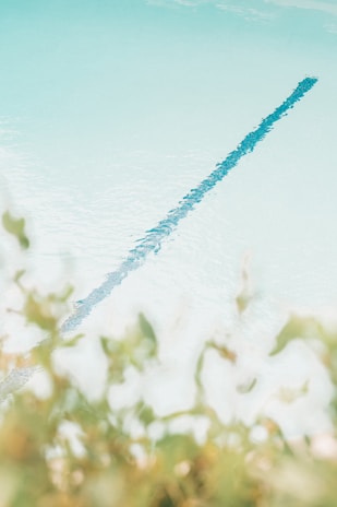 A clear view of a calm swimming pool, focusing on one of the swim lanes. The pool water is light blue and appears very clean. There is a blurred green foliage in the foreground, adding a natural touch to the scene.
