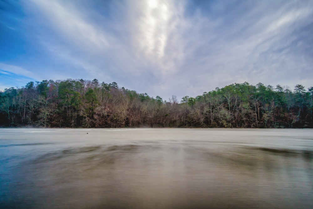 view photography of sea and forest during daytime