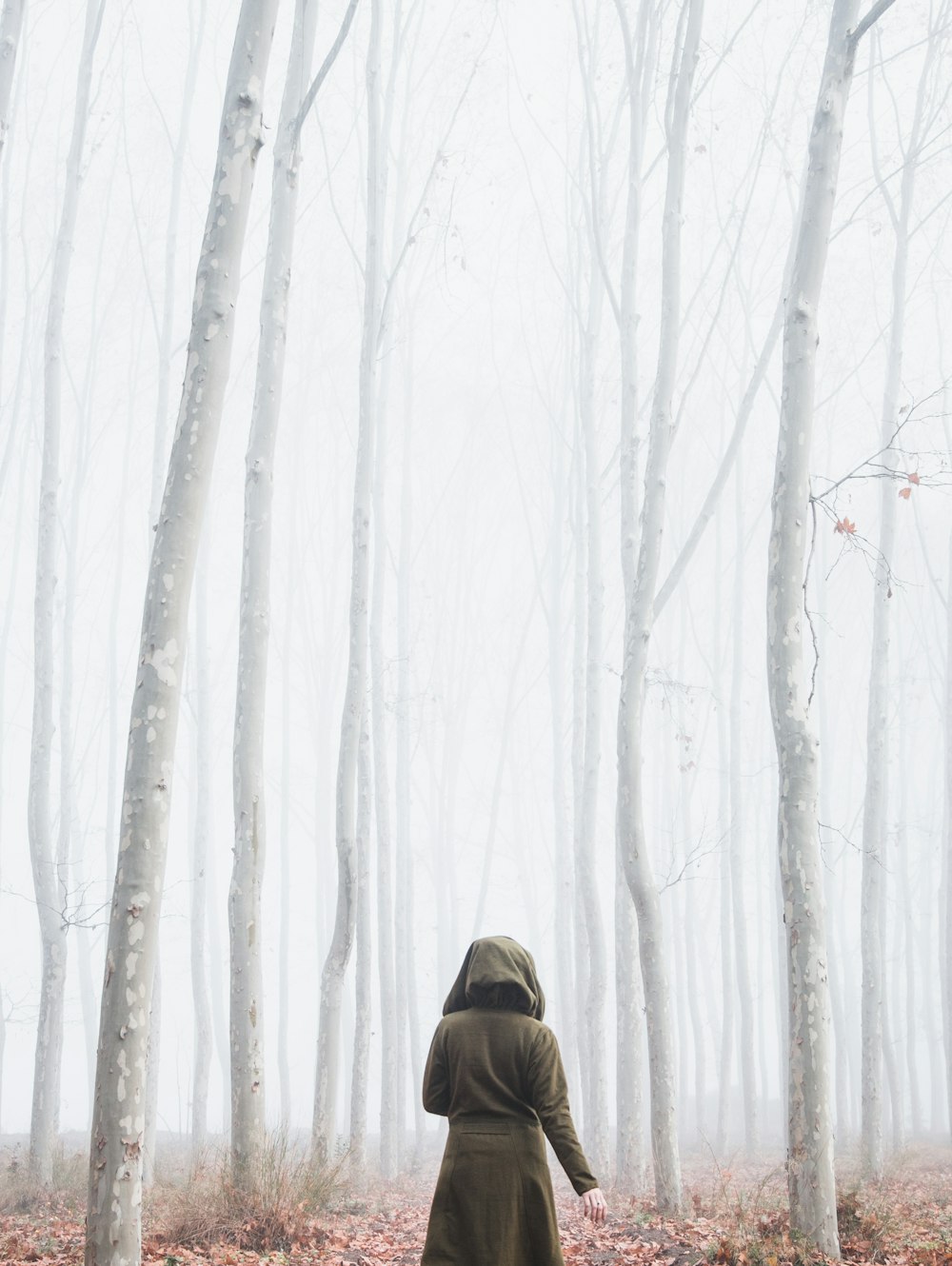 woman near trees