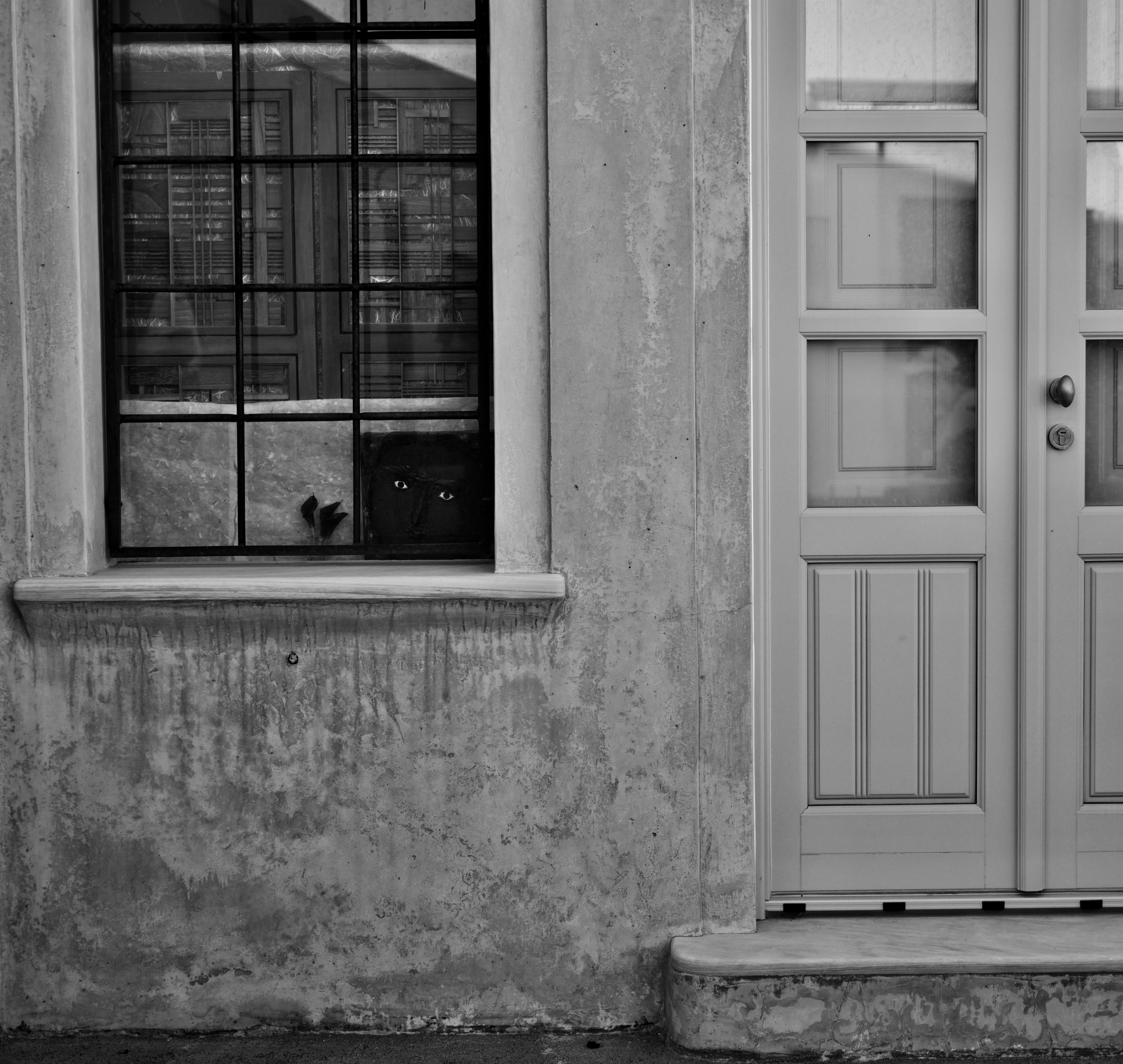 Precision installation of new windows and doors on a residential property