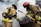 Two firefighters wearing protective gear and helmets are actively engaged in handling a situation involving a barrel amid billowing smoke. One firefighter holds a tool, possibly a hook, as they work together.