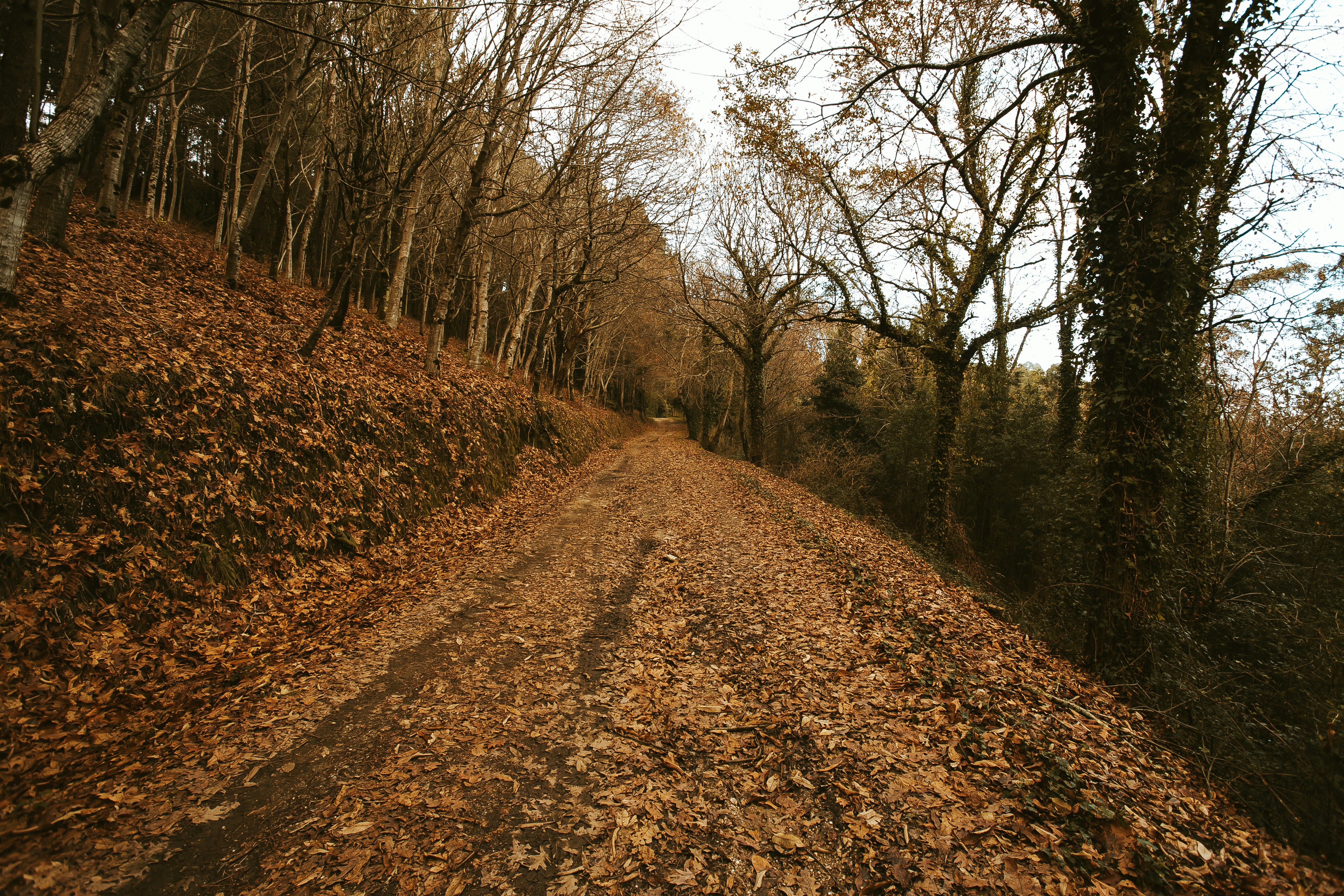 Photo by 3tnik